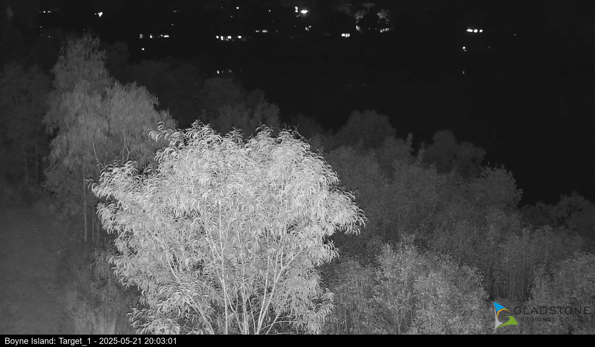 Boyne Island River Cam